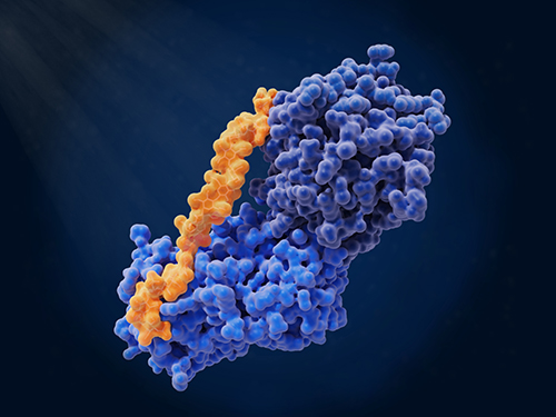 The Most Comprehensive Overview of Histone Modification